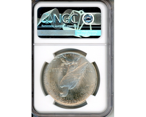 PMJ Coins & Collectibles, Inc. 1924 $1 NGC MS 64